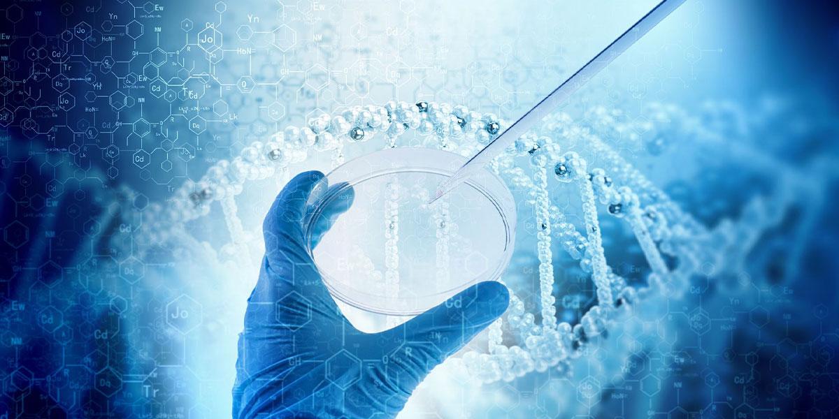 سەردێڕی هەواڵ ٢